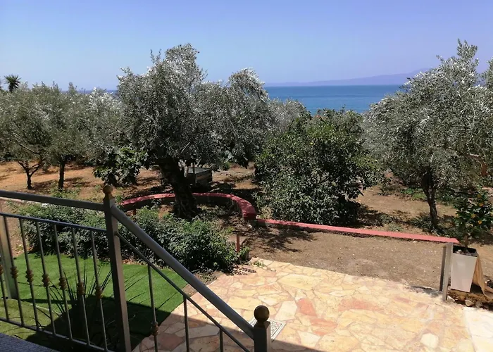 Κτημα Παυλομπεη Olive & Sea