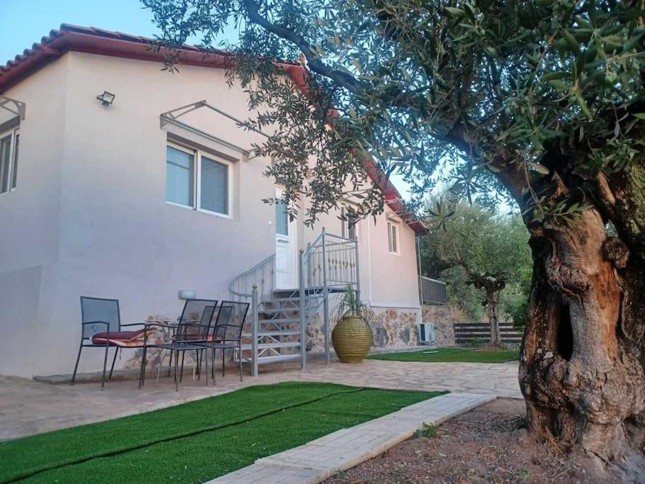 Apartment κτημα παυλομπεη Olive & Sea *