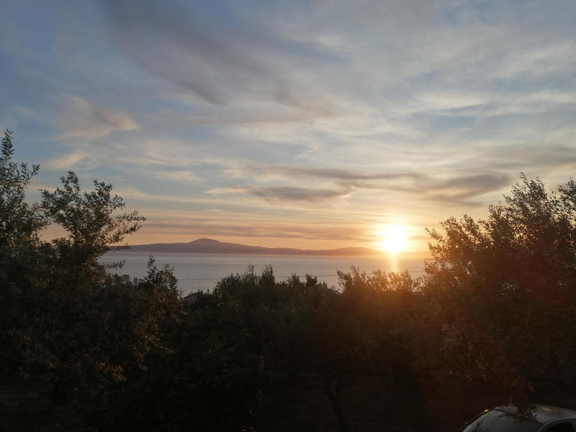 κτημα παυλομπεη Olive & Sea Verga Kalamata