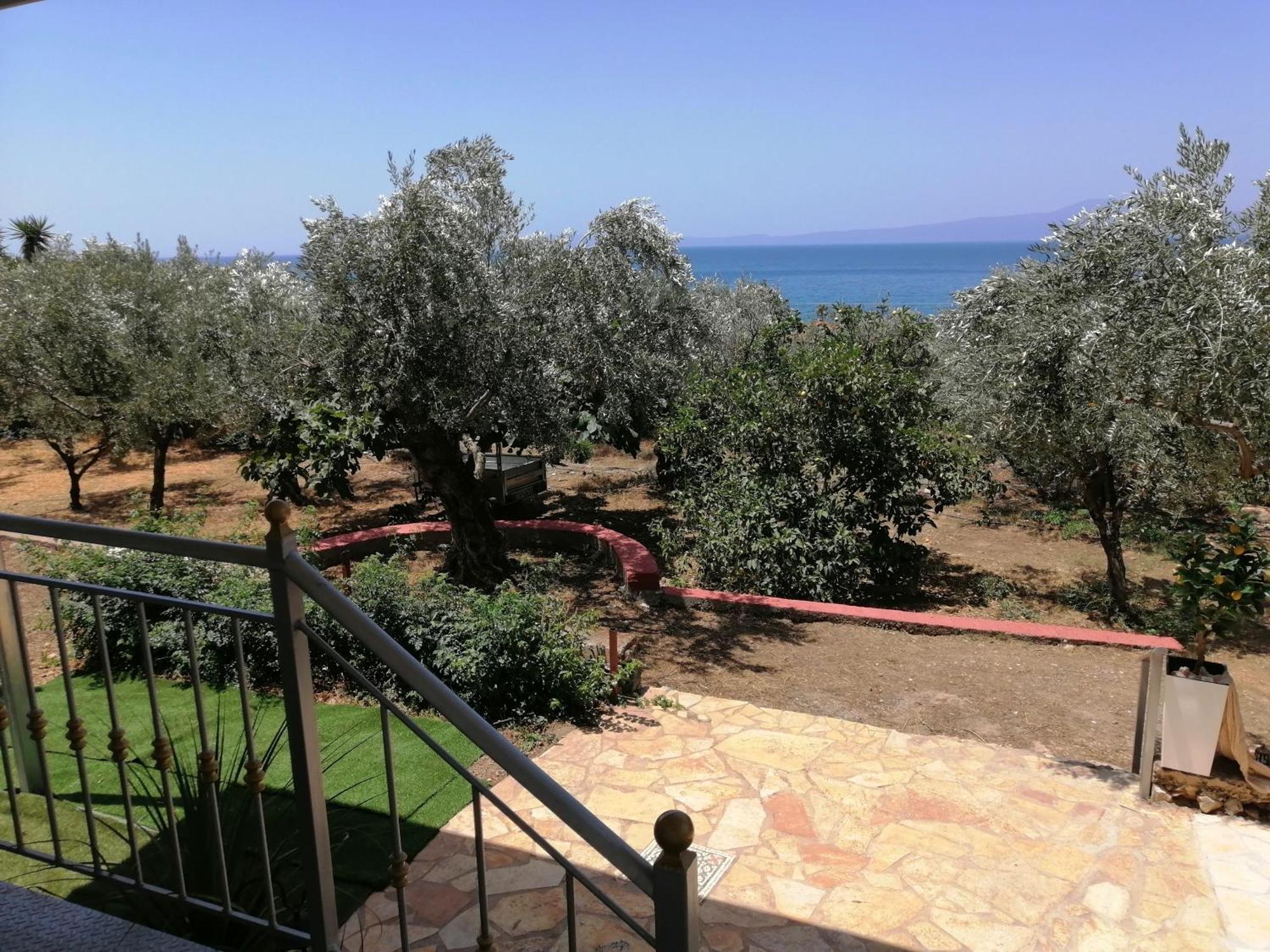 κτημα παυλομπεη Olive & Sea Verga Kalamata
